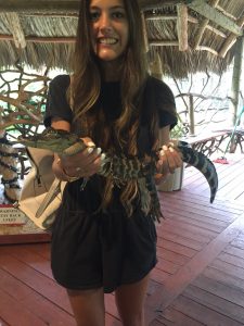Sofia Waterhouse, 20, a student at the University of Miami, holding an alligator who lives at ZWF. 