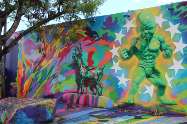 One of the many murals of the Wynwood Walls (Photo by Laurie Charles)
