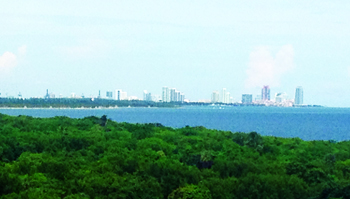 Downtown Miami and Brickell can be seen from the top of the lighthouse (Photo by Chelsea Pillsbury).