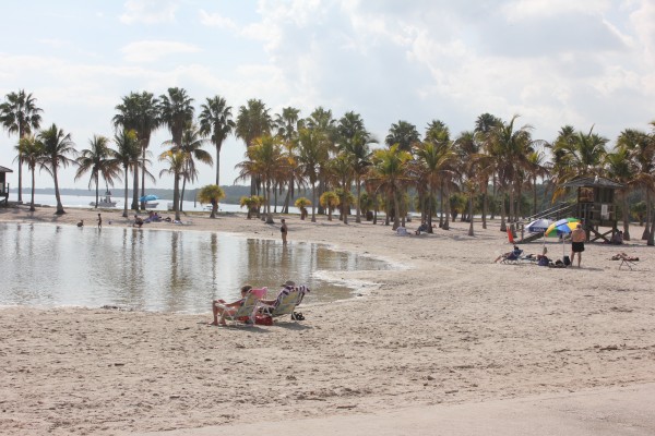 The beach at Matheson Hammock County Park is on Biscayne Bay in Coral Gables (Staff photo).