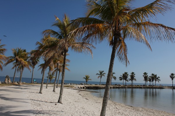 The beach at Matheson Hammock County Park has a tidal swimming pool on Biscayne Bay in Coral Gables (Staff photo).