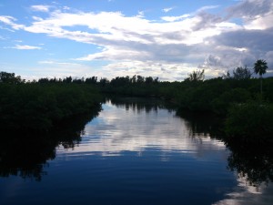 The numerous canals that run through Matheson Hammock Park are popular among fishermen and kayakers (Photo by Patrick Riley).