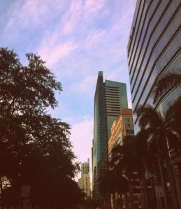 The graceful glass buildings tower over the banyan trees lining the avenue in the financial district that is the center of Brickell (Photo by Katherine Guest).