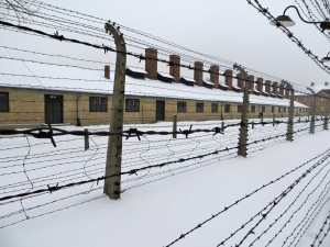 Barbed wire fences running around the entire perimeter of Auschwitz camp (Photo by Samantha Lucci).