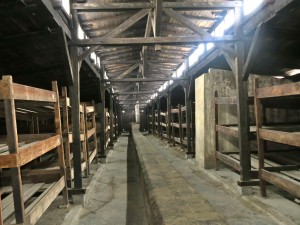 The inside of one set of barracks depicts the rows of empty bunks shared by prisoners of Birkenau camp during World War II. Up to 10 prisoners slept in each bunk at one time, bare of any mattresses or bedding (Photo by Samantha Lucci).