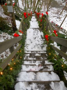 Wooden stairs decorated for the holidays twist their way down to the central waterfall’s best viewing area. In the summer, visitors come to this area to enjoy their ice cream cones from the nearby Popcorn Shop (Photo by Samantha Lucci).