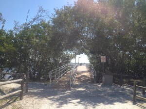 Nature trails and fishing piers allow locals and visitors to get in touch with nature on the island and are home to an abundance of wildlife (Photo by Emily Dabau).