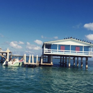 The Stiltsville structures stand on wood or reinforced concrete pilings, about ten feet above the shallow water depending on the tide.