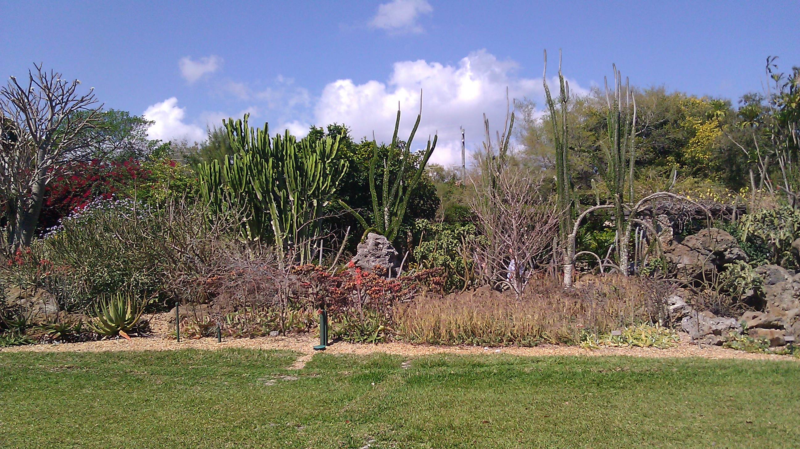 Walking through Fairchild Tropical Botanic Garden (Photo by Elizabeth de Armas).